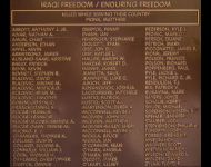 Iraq-Afghanistan Panel